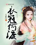 衣冠南渡小说