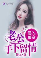 误入狼室:老公手下留情!小说全集免费下载