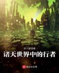 诸天世界中的行者 一夜太白