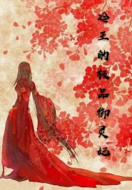 冷王的极品御灵妃免费阅读无弹窗