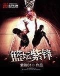 篮坛紫锋顶点小说