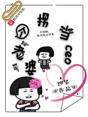拐个老婆当ceo小说全本