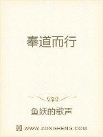 沐光而行小说免费阅读