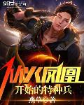 从火风凰开始的特种兵电子书下载