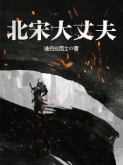 北宋大丈夫全文免费下载