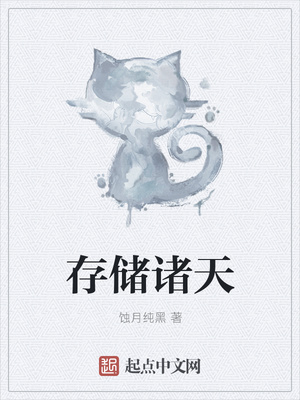 存储小说