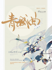 小说青城