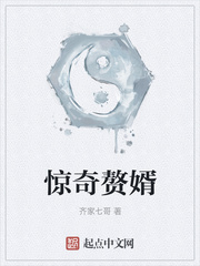 惊奇赘婿TXT下载百度云