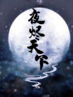 夜烬天下小说全集免费下载