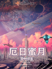 海边蜜月免费阅读