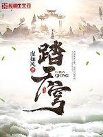 踏天穹小说阅读免费全文