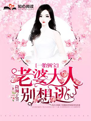 一胎两宝老婆大人别想逃免费阅读原文一