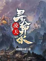 西雅图爱情男主角