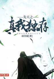 先天之真我独存小说免费阅读全文