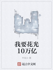 我要花光10万亿免费阅读全文