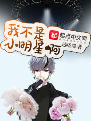 我不是明星小灿