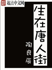 生在唐人街 在线阅读免费
