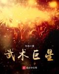 武术高手的小说