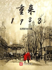 小说重回1988免费
