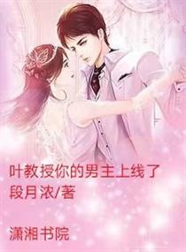叶教授 小说
