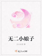 无二小娘子txt小说免费阅读百度云