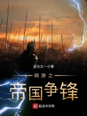 决对争锋小说全文在线阅读无弹窗
