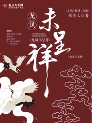 龙凤未呈祥小说阅读免费全文