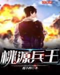 桃源兵王小说全本阅读