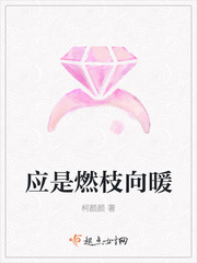应是南枝向暖 百度云