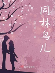 同林鸟儿小说免费阅读无弹窗