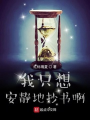 我只想安静的抄书啊奇书网