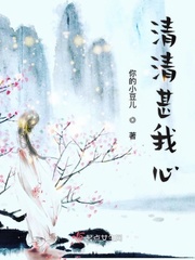 清清吾心2小说