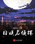 日娱名侦探 小说