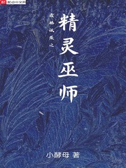 霍格沃茨之精灵巫师TXT下载8800