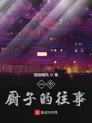 一个厨子的往事小说123