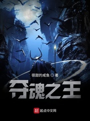 夺魂之主断更了