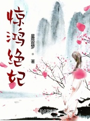 恋恋惊鸿 小说 免费
