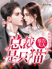 报告夫人全集阅读
