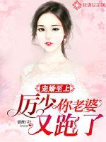 惜月小说