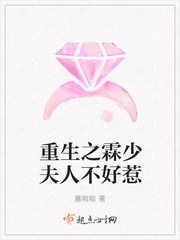重生之战少夫人又打架