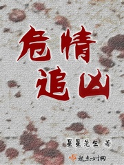 危情小说简介