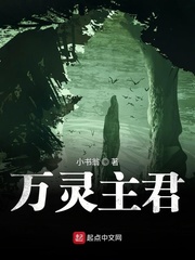 书翁视频