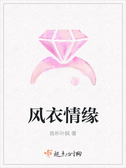 北城情缘免费阅读