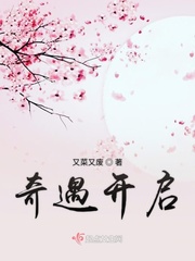 奇遇路线