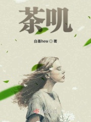 女人茶全文免费阅读