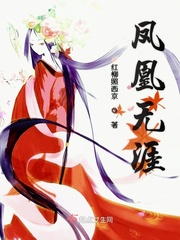 凤凰无双-释情