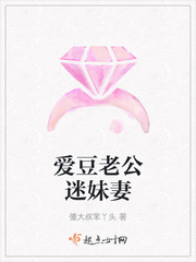 爱豆老公迷妹妻txt小说免费阅读全集