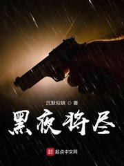 黑夜将至 小说