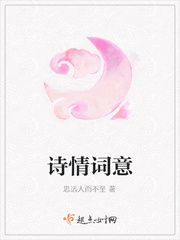 诗情是什么