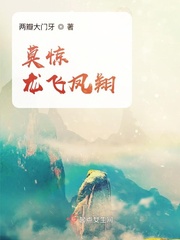 龙飞凤翔属于什么档次